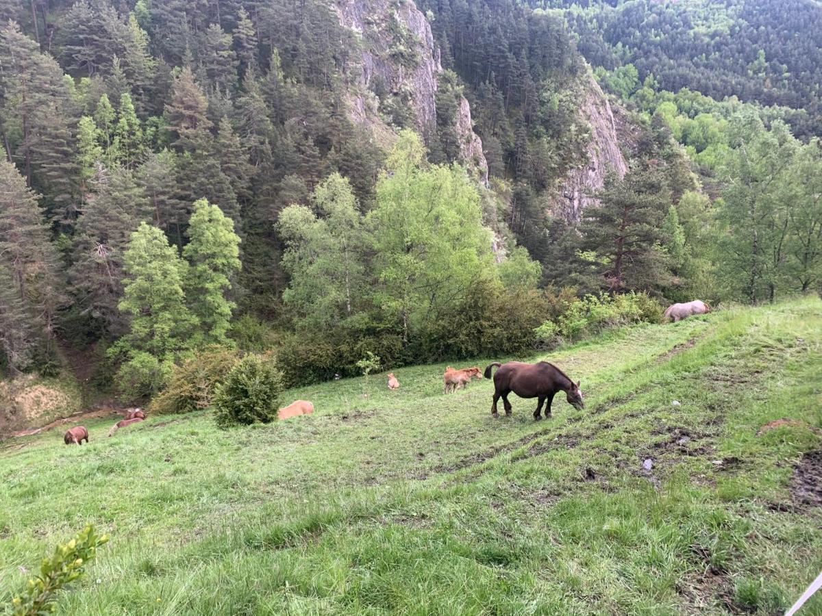 Siscaro - Peu Del Riu 310 - Vall D'Incles - Soldeu Διαμέρισμα Εξωτερικό φωτογραφία